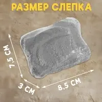Раскопки &laquo;Тайна жука Скарабея&raquo;