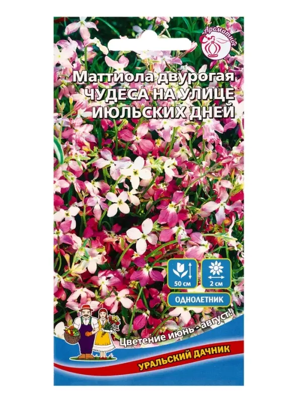 Семена Цветы Маттиола двурогая Чудеса на улице июльских дней (УД) Е/П , Е/П,  0,25 г.