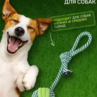 Игрушка канатная &laquo;Мяч на веревке&raquo;, 33 г, до 25 см, цвет МИКС