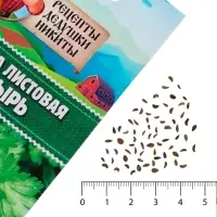 Семена петрушка листовая «Богатырь», 2 г