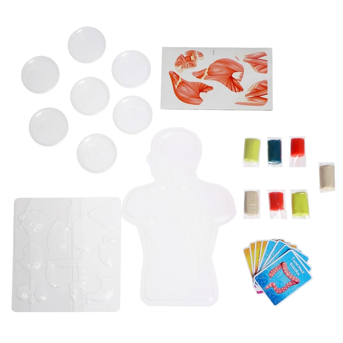 Набор для опытов «Моё удивительное тело», в пакете Набор для опытов «Моё удивительное тело», в пакете