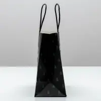 Пакет подарочный новогодний &laquo;А ты уже синяя&raquo;, 22&times;22&times;11 см