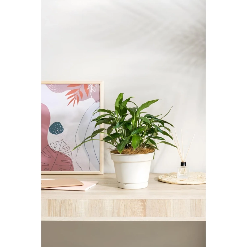 Горшок д/цветов Mint D310мм,10,7л с поддоном (светло-бежевый),221612225