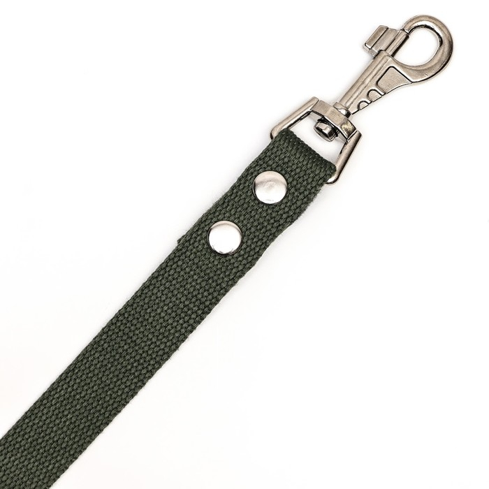 Поводок брезентовый 10 м х 2,5 см, тёмно-зелёный Поводок брезентовый 10 м х 2,5 см, тёмно-зелёный