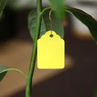 Бирки садовые, для маркировки растений, 4.5&times;3 см, набор 20 шт., пластик, МИКС, Greengo