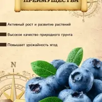 Грунт для Голубики PETER PEAT, линия &laquo;Хобби&raquo;, 20 л