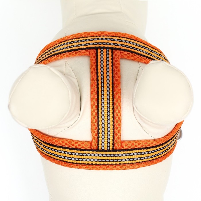 Шлейка супермягкая со светоотражающей прошивкой, размер М, обхват 32-63 см, оранжевая Шлейка супермягкая со светоотражающей прошивкой, размер М, обхват 32-63 см, оранжевая