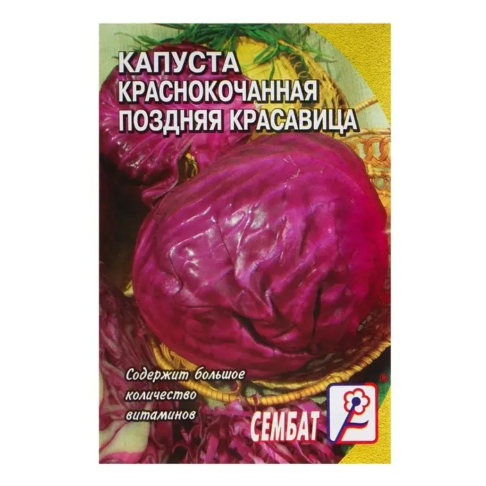 Семена Капуста краснокочанная &laquo;Поздняя красавица&raquo;, 0.5 г, &laquo;Сембат&raquo;