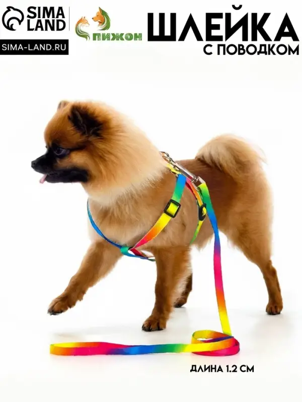 Комплект &laquo;Радуга&raquo;, капрон, поводок 120&times;1 см, шлейка 24-34&times;1 см
