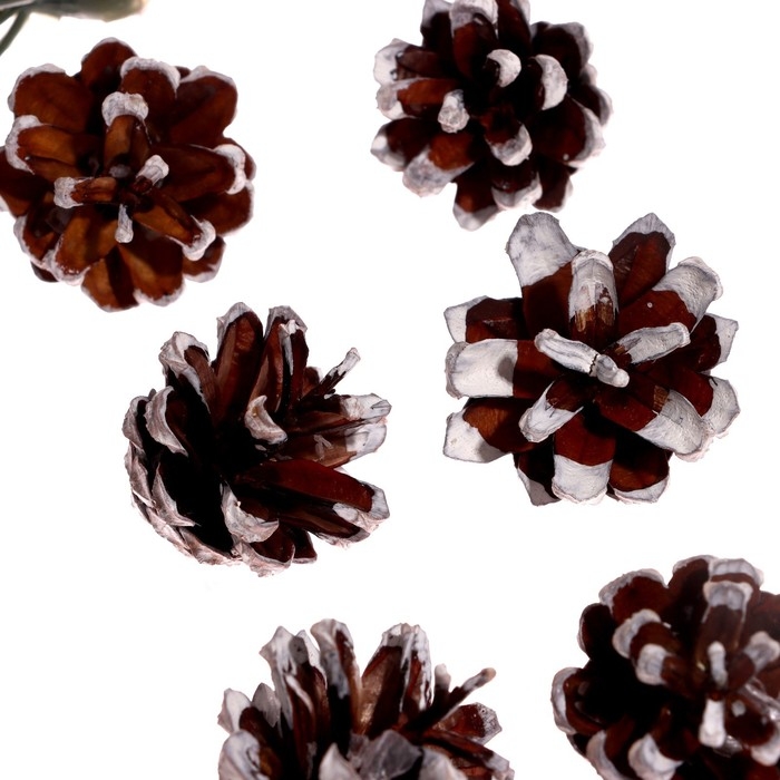 Новогодний набор «Снег» Новогодний набор «Снег»