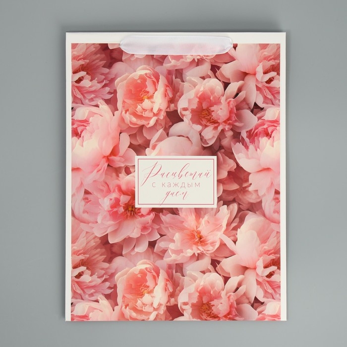 Пакет подарочный для цветов треугольный, упаковка, «Расцветай», 23,5 х 30 х 20,5 см Пакет подарочный для цветов треугольный, упаковка, «Расцветай», 23,5 х 30 х 20,5 см