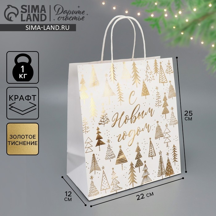 Пакет подарочный новогодний крафтовый «Новогодняя пора», 22 х 25 х 12 см, Новый год Пакет подарочный новогодний крафтовый «Новогодняя пора», 22 х 25 х 12 см, Новый год
