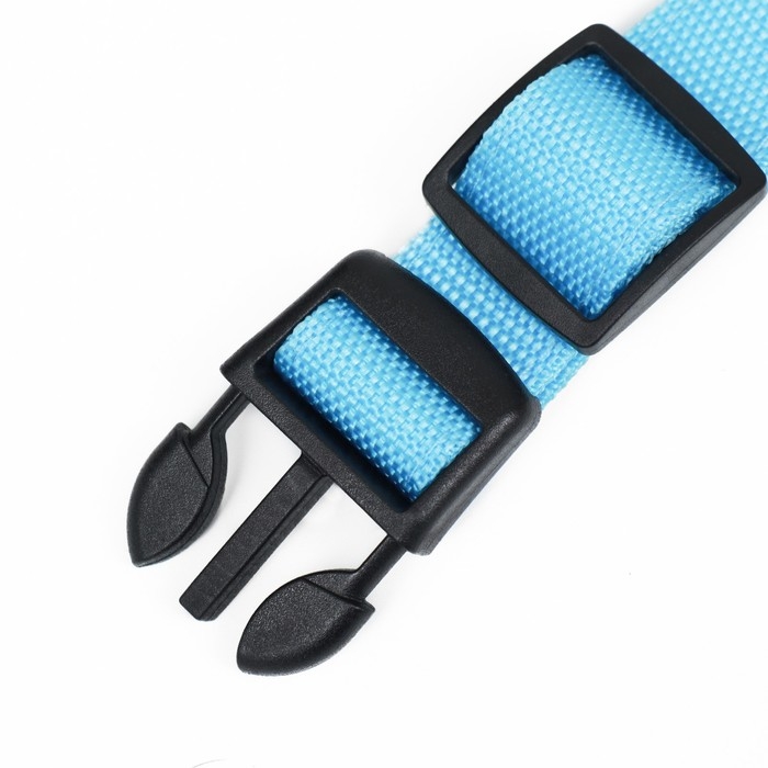 Ошейник с подсветкой размер S, ОШ 35-43 х 2,5 см, 3 режима свечения голубой Ошейник с подсветкой размер S, ОШ 35-43 х 2,5 см, 3 режима свечения голубой