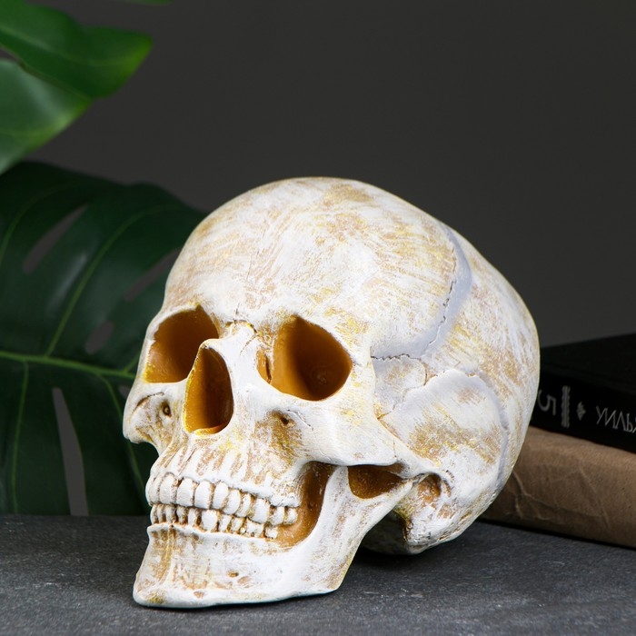 Копилка  Копилка "Череп" кость, 16х13х22см