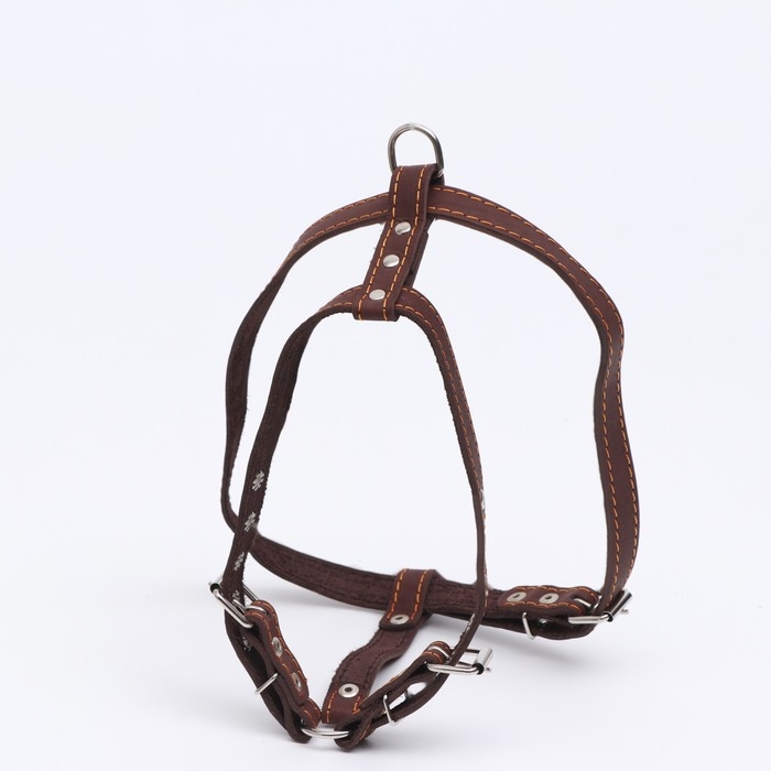 Шлейка кожаная Шлейка кожаная "Прогулочная", 2 см, ОШ 46-58 см, ОГ 78-85 см, коричневая