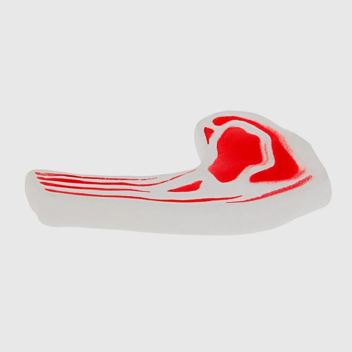 Игрушка пищащая Игрушка пищащая "Мясо на косточке" для собак, 13 см, микс цветов