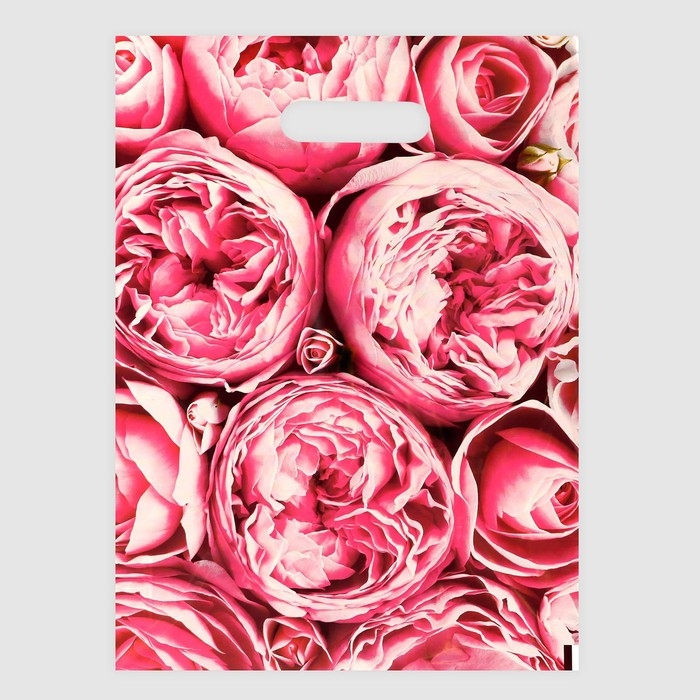 Пакет полиэтиленовый с вырубной ручкой Пакет полиэтиленовый с вырубной ручкой "Пионы", розовые, 30х40 см, 50 мкм, набор 5 шт