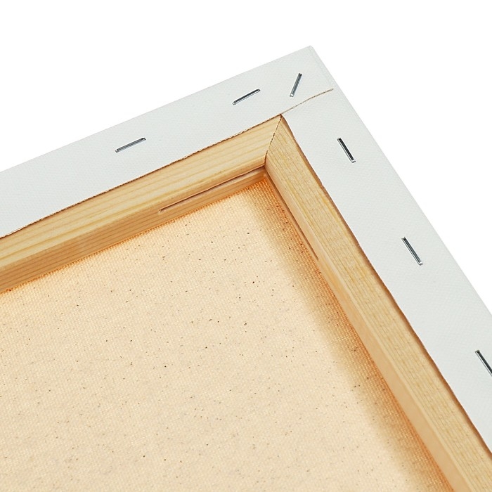 Холст на подрамнике, хлопок 100%, акриловый грунт, 2 х 60 х 80 см, 400г/м², Гамма Студия Холст на подрамнике, хлопок 100%, акриловый грунт, 2 х 60 х 80 см, 400г/м², Гамма Студия