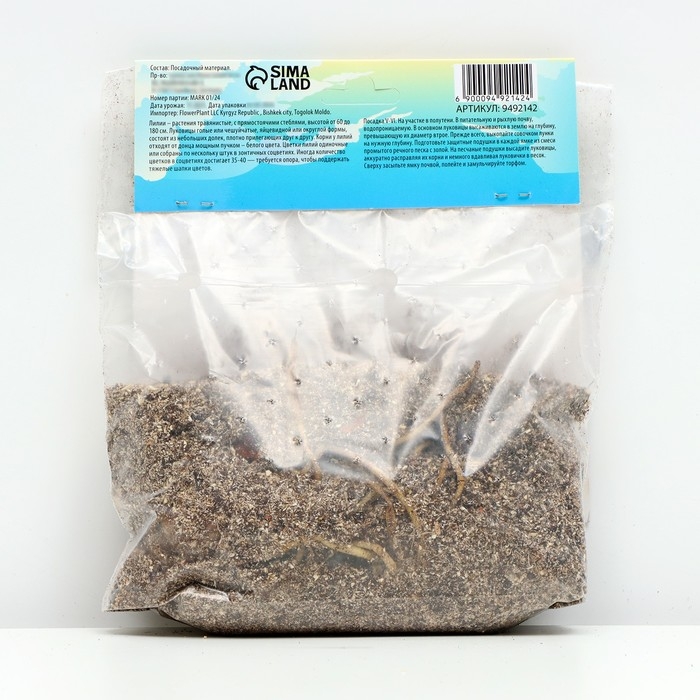 Лилия Азиатская Кашпо Лилия Азиатская Кашпо "Trendy Santo Domingo", р-р 12/14, 2 шт,