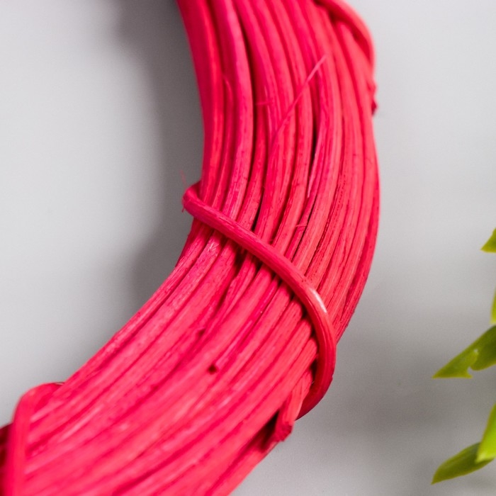 Кольцо ротанг для изготовления ловца снов Кольцо ротанг для изготовления ловца снов "Фуксия" d=25 см