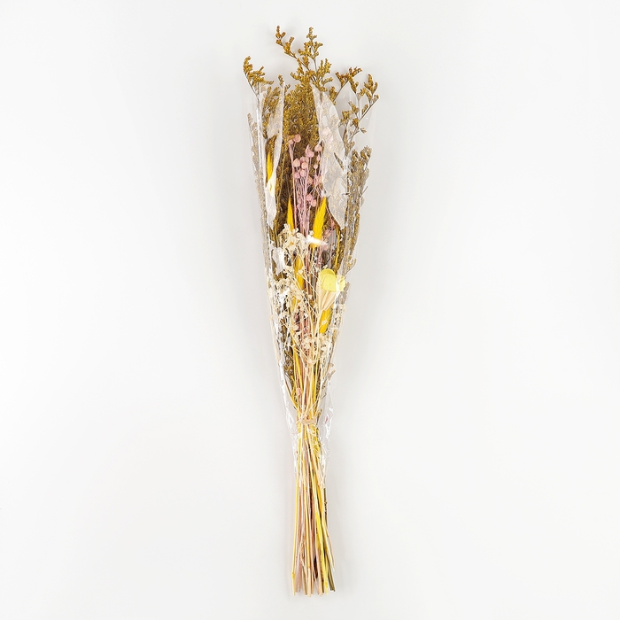 Букет из сухоцветов «Поцелуй солнца», 52 × 12 × 8 см Букет из сухоцветов «Поцелуй солнца», 52 × 12 × 8 см