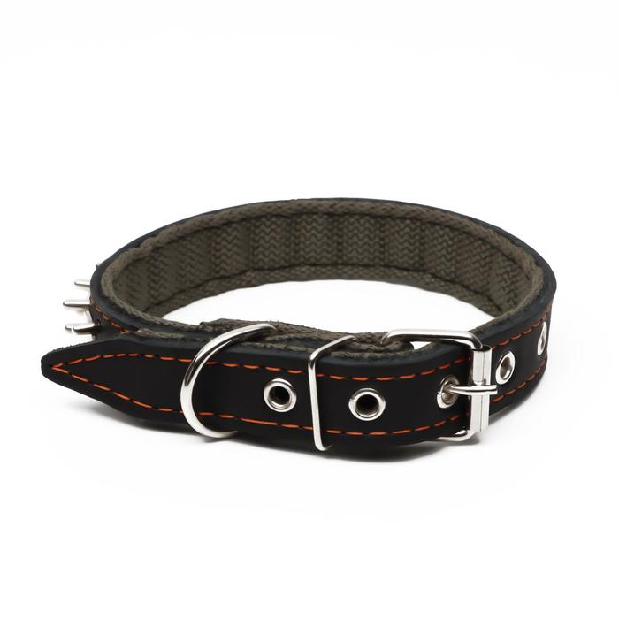 Ошейник комбинированный кожа/брезент Ошейник комбинированный кожа/брезент "Ёж", 55 х 2.5 см, ОШ 35-45 см, чёрный