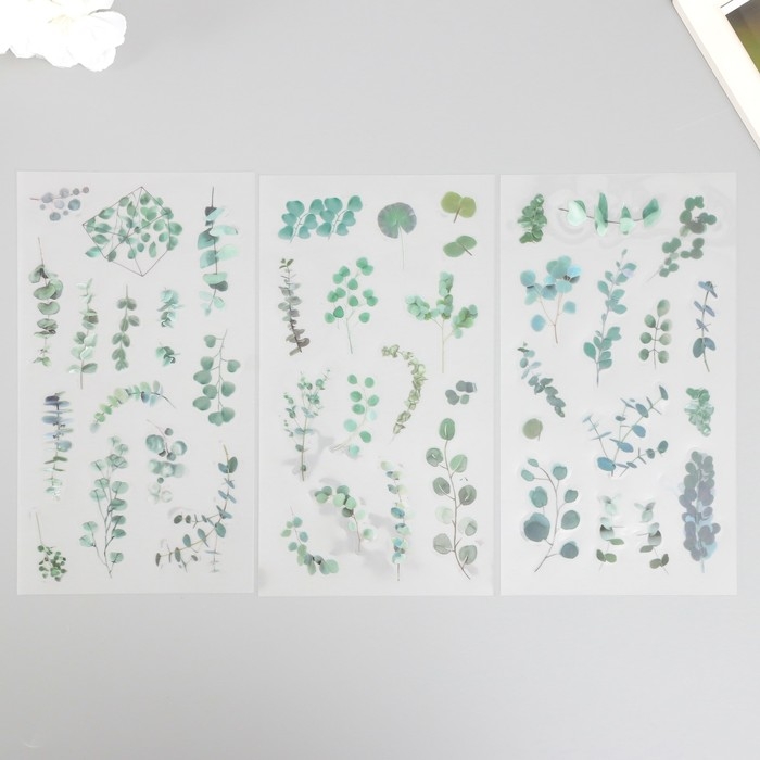 Наклейки пластик Наклейки пластик "Эвкалипт" набор 6 листов 10х18 см