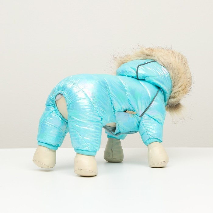 Комбинезон Комбинезон "Глянец", размер 8 (ДС 23, ОГ 30, ОГ 22), голубой