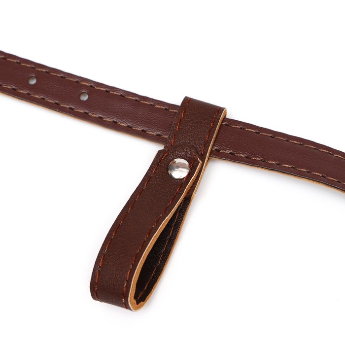 Намордник из прессованной кожи регулируемый, №1, ДН 4,5 см, ОМ 13-20 см, коричневый Намордник из прессованной кожи регулируемый, №1, ДН 4,5 см, ОМ 13-20 см, коричневый