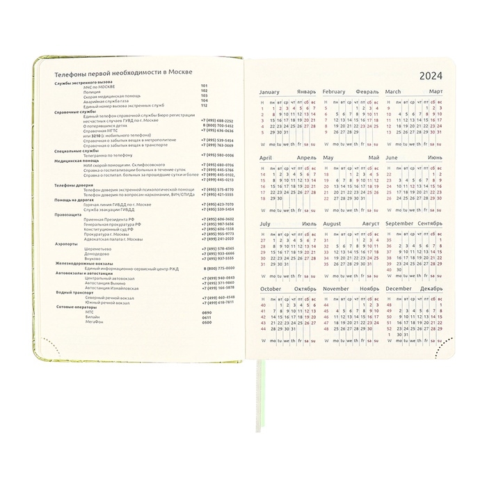 Ежедневник датированный 2025 года, A5, 168 листов, deVENTE. Barbara, твердая обложка кожзам с поролоном, перфорацией, ляссе, блок 70, зеленый Ежедневник датированный 2025 года, A5, 168 листов, deVENTE. Barbara, твердая обложка кожзам с поролоном, перфорацией, ляссе, блок 70, зеленый