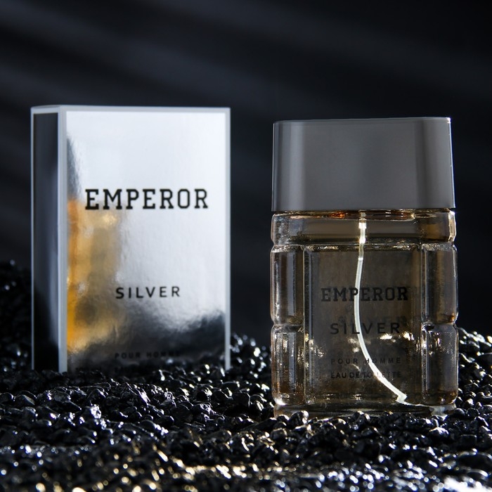 Туалетная вода мужская Emperor Siver, 100 мл (по мотивам Egoiste Platinum (Chanel) Туалетная вода мужская Emperor Siver, 100 мл (по мотивам Egoiste Platinum (Chanel)