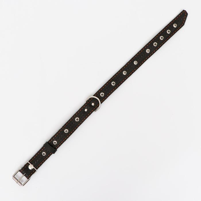 Ошейник комбинированный безразмерный, кожа/брезент, 60 х 3 см, ОШ 30-57 см, чёрный/зелёный Ошейник комбинированный безразмерный, кожа/брезент, 60 х 3 см, ОШ 30-57 см, чёрный/зелёный