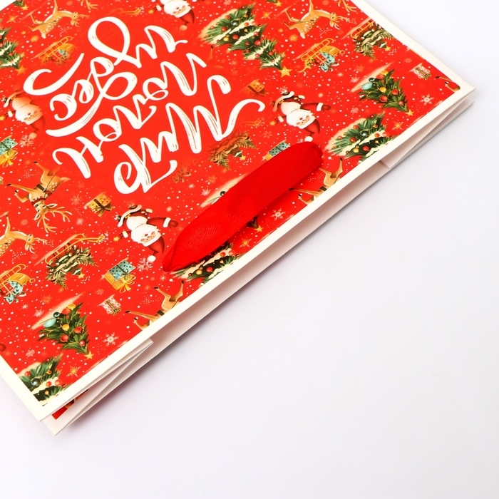 Новый год. Пакет подарочный новогодний бумажный,  Новый год. Пакет подарочный новогодний бумажный, "Мир полон чудес", 24 х 20 х 11 см.