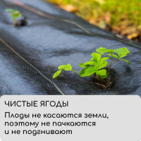 Агроткань застилочная, с разметкой, 10 × 1,1 м, плотность 100 г/м², полипропилен, Greengo, Эконом 50%