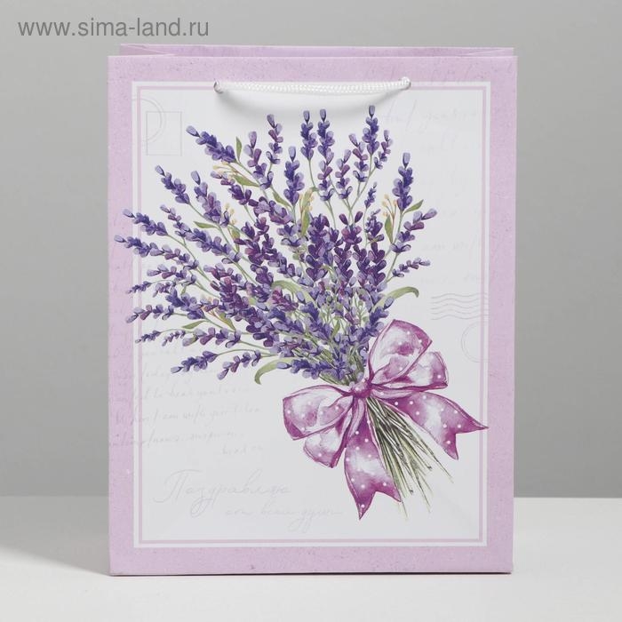 Пакет подарочный ламинированный вертикальный, упаковка, «Букет», MS 18 х 23 х 8 см