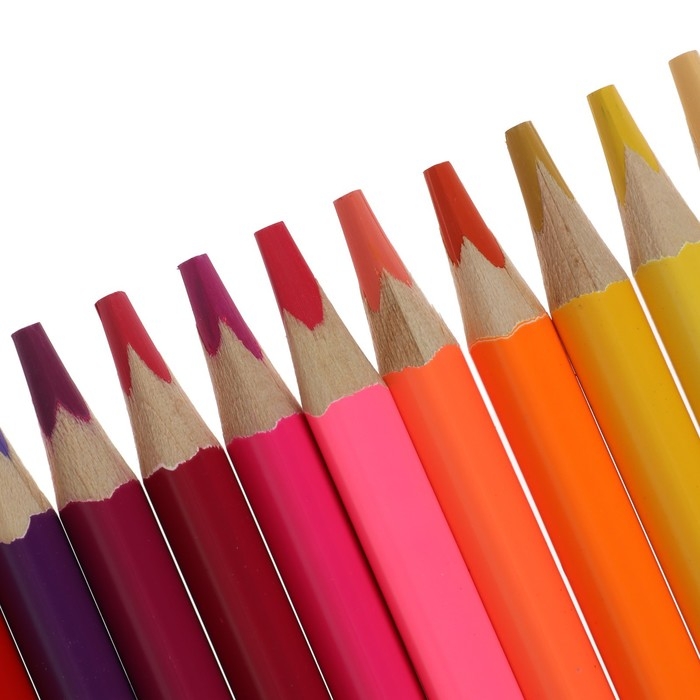 Карандаши 24 цветов Карандаши 24 цветов "Премиум", утолщенные