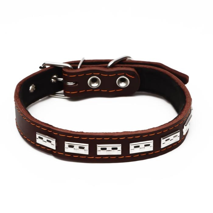 Ошейник кожаный на синтепоне, украшенный, 55 х 2.5 см, ОШ 35-45 см, коричневый Ошейник кожаный на синтепоне, украшенный, 55 х 2.5 см, ОШ 35-45 см, коричневый