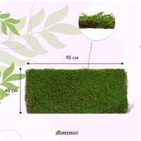 Декоративная панель, 90 × 40 см, «Папоротник», Greengo