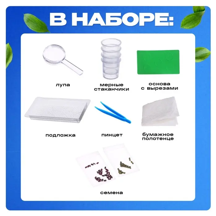 Набор для опытов &laquo;Экоферма&raquo;, своими руками