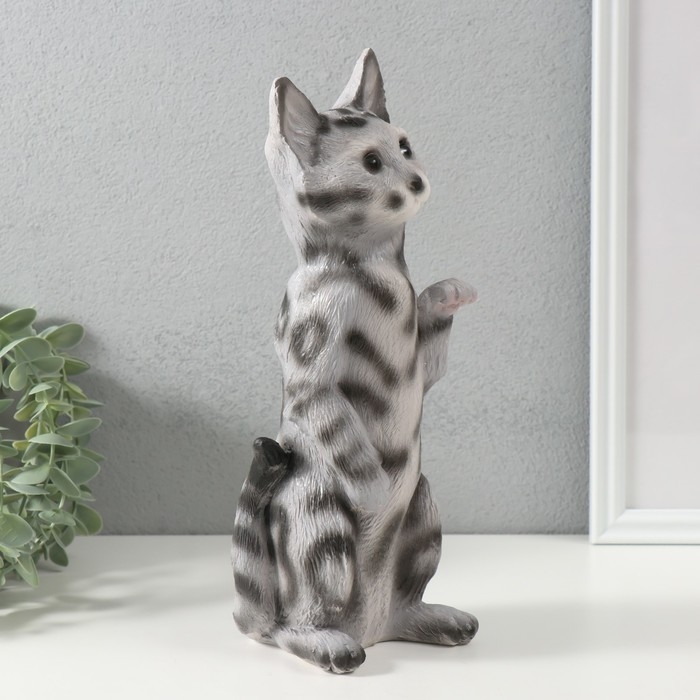 Копилка Копилка "Котенок Том" 27 х 10 х 10 см.