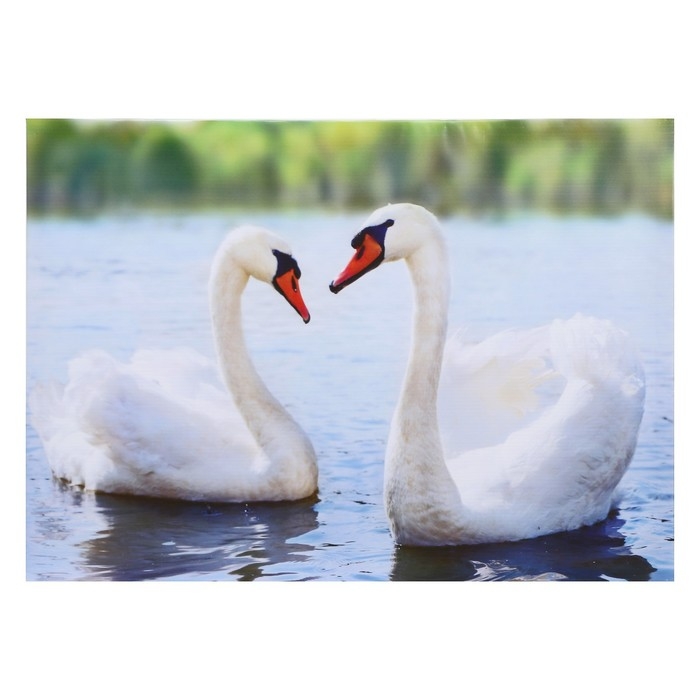 Картина Картина "Лебединая пара" 50*70 см
