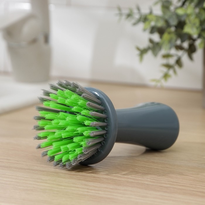 Щётка для посуды с высокой ручкой Доляна «Цилиндр», 7×13 см, цвет МИКС Щётка для посуды с высокой ручкой Доляна «Цилиндр», 7×13 см, цвет МИКС