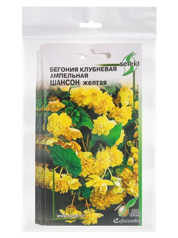 Набор семян Бегония ампельная &laquo;Шансон&raquo; клубневая, жёлтая, 5 шт., &laquo;Мой выбор&raquo;