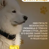 Маячок-адресник &laquo;Косточка&raquo; с наклейкой под записку, 3 режима свечения, пластик, металл, жёлтый
