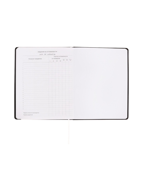 Дневник школьный 1-11 класс, deVENTE &laquo;ХЗ&raquo;, искусственная кожа, шелкография