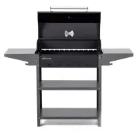 Мангал Family Standart BBQ FSB2000, 133.2&times;44.1&times;96.6 см, 2 мм, крышка, боковые полки