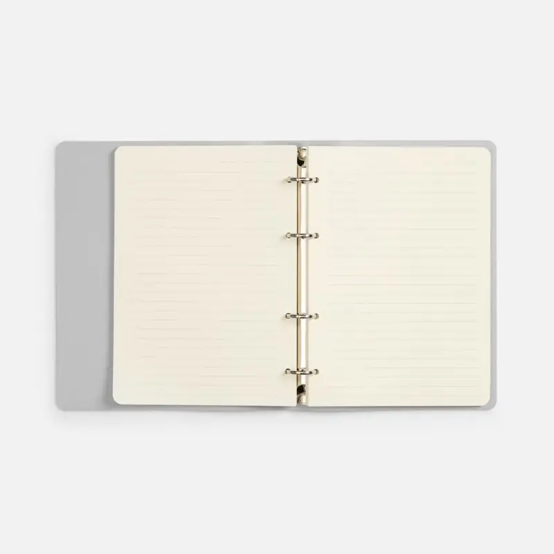 Ежедневник Ringo, недатированный, серебристый Ежедневник Ringo, недатированный, серебристый