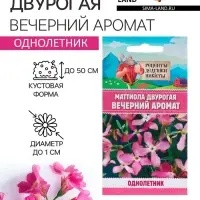 Семена цветов Маттиола двурогая "Вечерний аромат", смесь, 0,3 г Семена цветов Маттиола двурогая "Вечерний аромат", смесь, 0,3 г