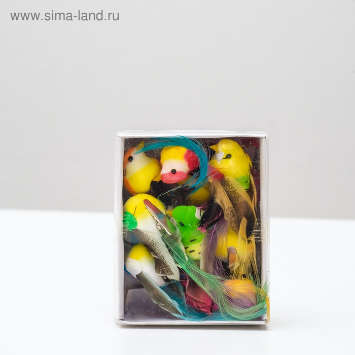 Птичка для декора и флористики, на прищепке, МИКС, пластиковая, 1шт., 8 х 8 см Птичка для декора и флористики, на прищепке, МИКС, пластиковая, 1шт., 8 х 8 см