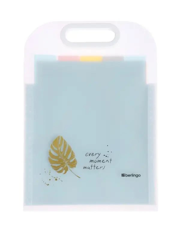 Папка А4 Eco, 6 отделений, 650 мкм, вертикальная, с ручкой, прозрачная, с рисунком